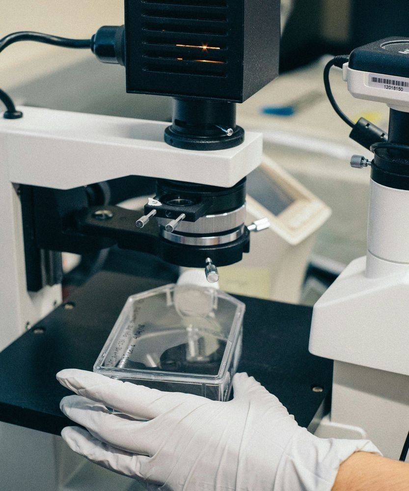 Compliance regulatorio y documentación técnica SDS REACH GMP